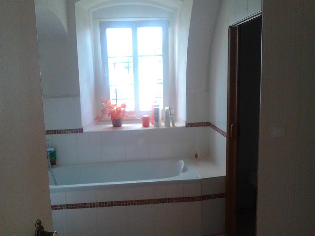 Jiretinska Chaloupka Appartement Jiřetín pod Jedlovou Buitenkant foto