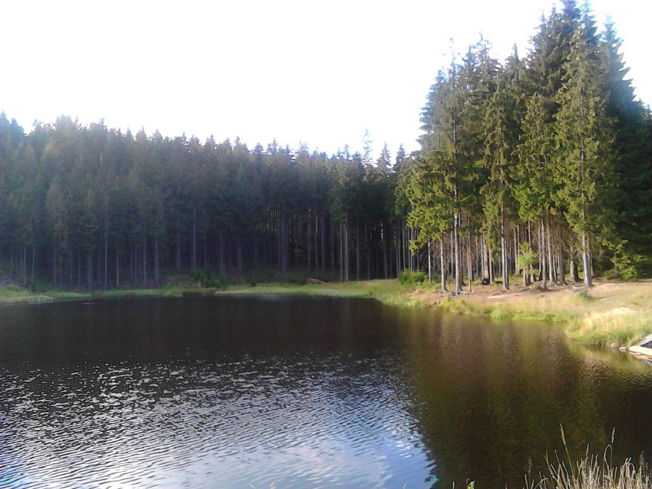 Jiretinska Chaloupka Appartement Jiřetín pod Jedlovou Buitenkant foto