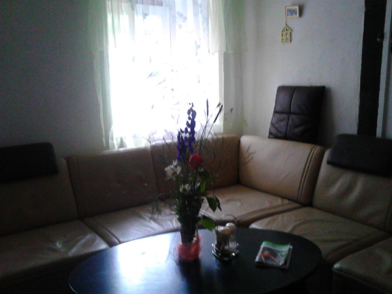 Jiretinska Chaloupka Appartement Jiřetín pod Jedlovou Buitenkant foto