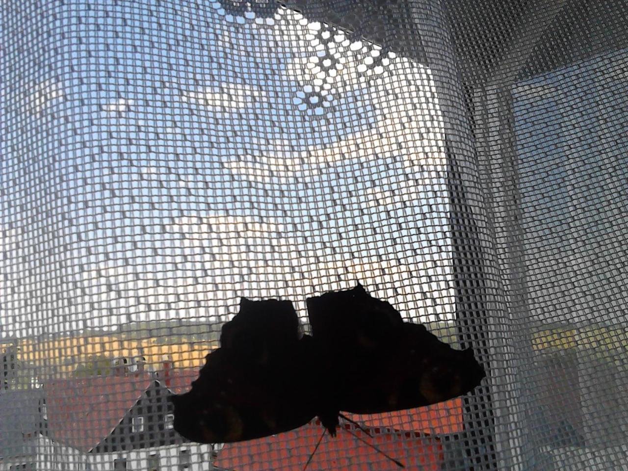 Jiretinska Chaloupka Appartement Jiřetín pod Jedlovou Buitenkant foto