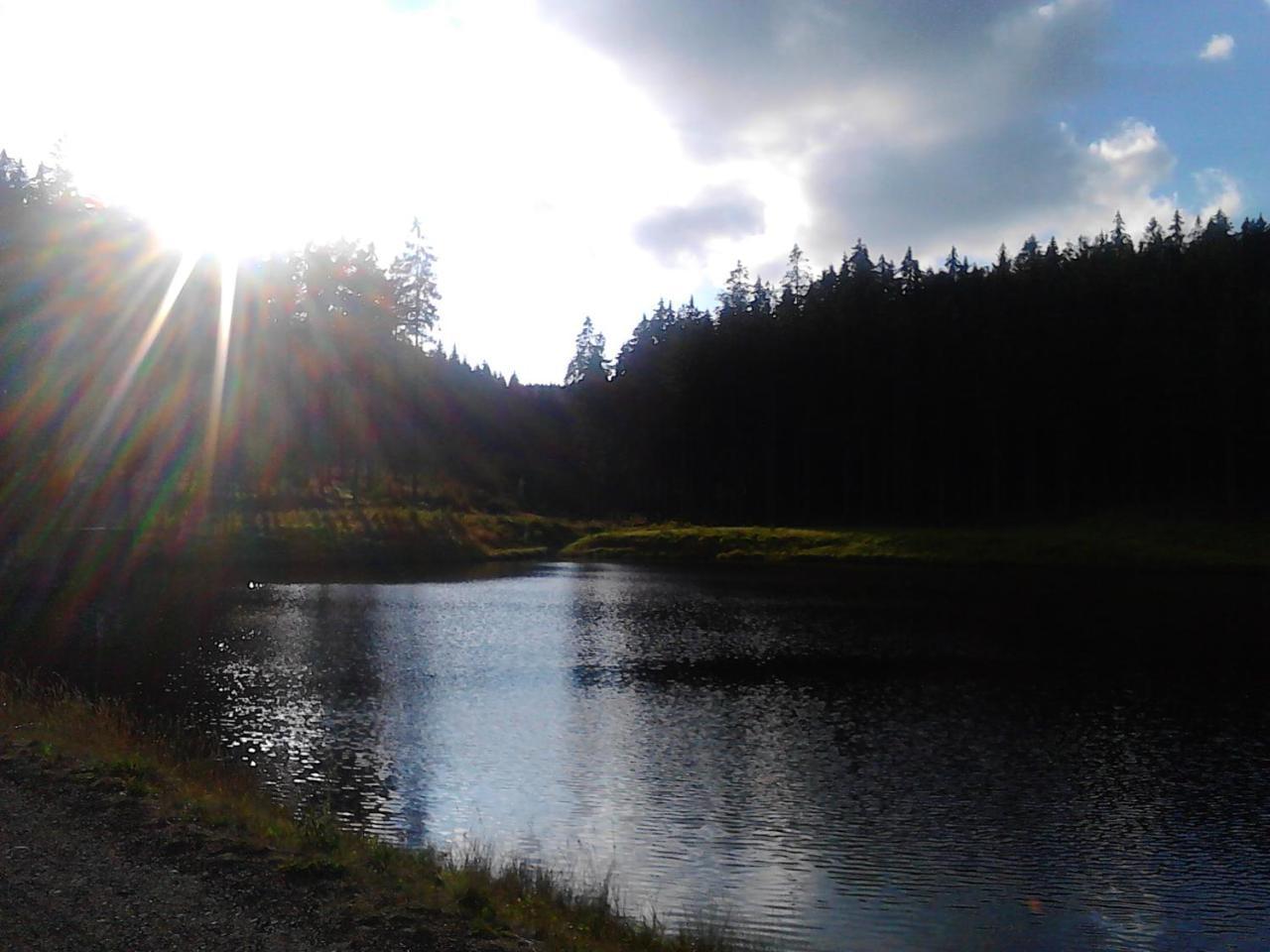 Jiretinska Chaloupka Appartement Jiřetín pod Jedlovou Buitenkant foto