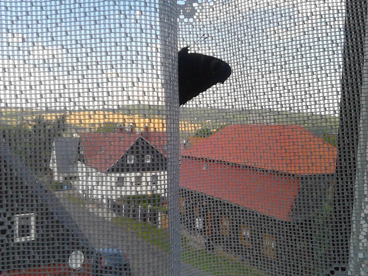 Jiretinska Chaloupka Appartement Jiřetín pod Jedlovou Buitenkant foto